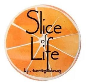 slice of life logo